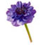 http://www.teleflora.com/images/vendors/00005557/giftguides/meaning/MeaningOfFlowers-PAGE-1_10.jpg