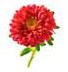 http://www.teleflora.com/images/vendors/00005557/giftguides/meaning/MeaningOfFlowers-PAGE-1_16.jpg