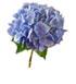 http://www.teleflora.com/images/vendors/00005557/giftguides/meaning/meaningofflowers-PAGE2_29.jpg
