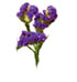 http://www.teleflora.com/images/vendors/00005557/giftguides/meaning/meaningofflowers-PAGE4_14.jpg
