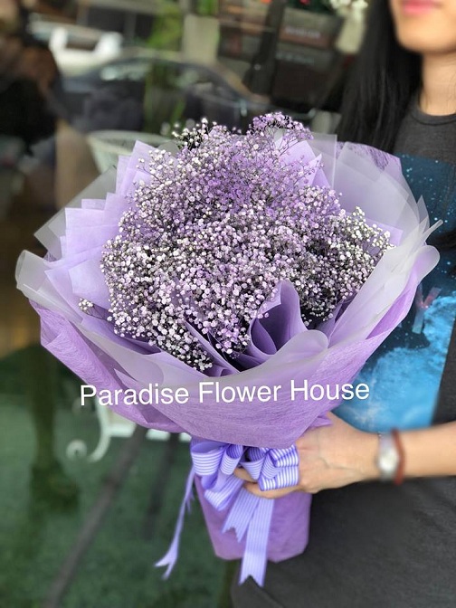 Baby Breath 19 Malaysia Online Florist Melaka Flowers Melaka Paradise Flower House