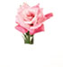 http://www.teleflora.com/images/vendors/00005557/giftguides/meaning/meaningofflowers-PAGE3_14.jpg
